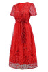 sequin-leaf-embroidery-tie-front-short-sleeve-dress Sophia's Trends - Sophia's Style--